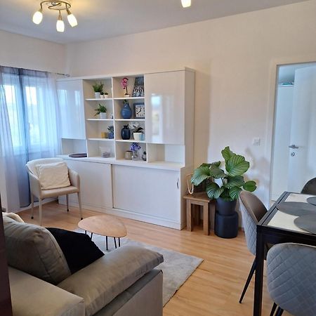 Apartment Dorina Buje Exterior photo