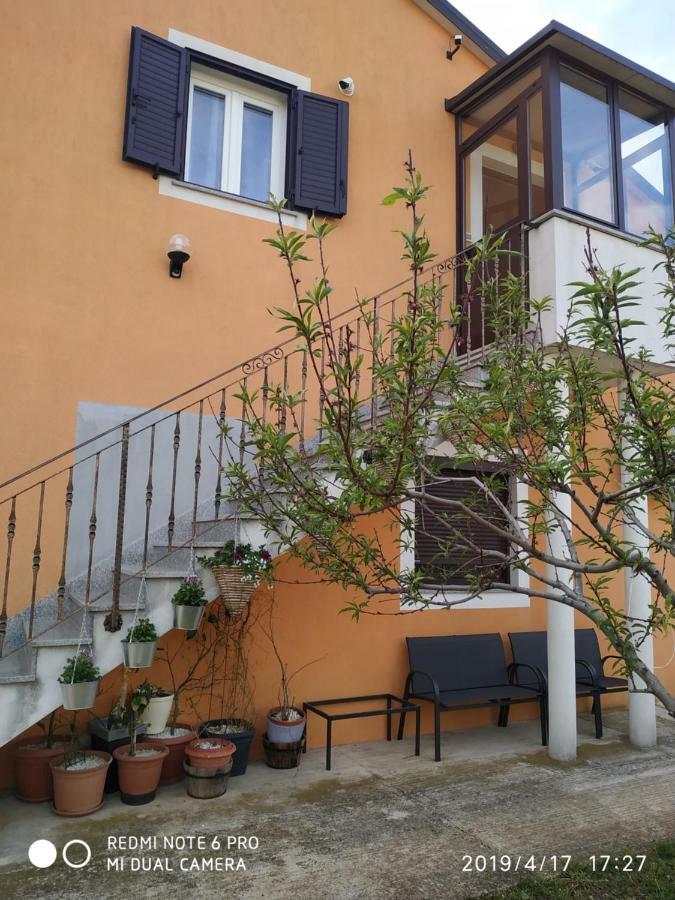 Apartment Dorina Buje Exterior photo